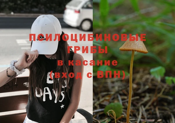 соль ск Армянск