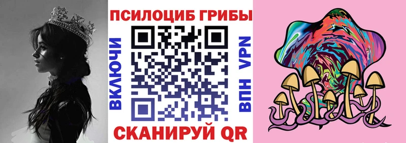 Псилоцибиновые грибы Cubensis  купить наркотики цена  Острогожск 